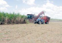 Congresistas de EEUU piden investigar sector azucarero de República Dominicana