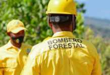 Medio Ambiente mantiene bajo control incendio forestal en Sierra de Bahoruco
