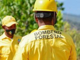 Medio Ambiente mantiene bajo control incendio forestal en Sierra de Bahoruco