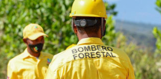 Medio Ambiente mantiene bajo control incendio forestal en Sierra de Bahoruco