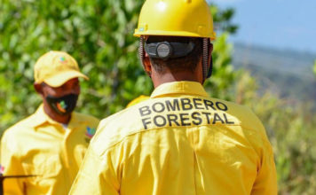 Medio Ambiente mantiene bajo control incendio forestal en Sierra de Bahoruco