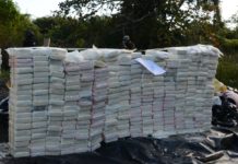 Autoridades incineran 1,332 kilogramos de distintas drogas