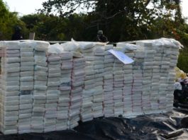 Autoridades incineran 1,332 kilogramos de distintas drogas