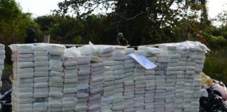 Autoridades incineran 1,332 kilogramos de distintas drogas