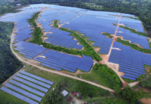 RD se convierte en líder del Caribe en producción de energía renovable