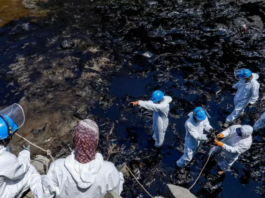 Tonga: el grave derrame de petróleo en la costa de Perú a causa de la erupción del volcán en la nación insular