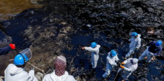 Tonga: el grave derrame de petróleo en la costa de Perú a causa de la erupción del volcán en la nación insular