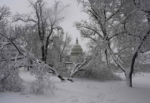 Tormenta de nieve en EE.UU.: apagón masivo, autos varados por 19 horas y miles de vuelos cancelados por una fuerte nevada en Washington y alrededores