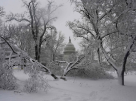 Tormenta de nieve en EE.UU.: apagón masivo, autos varados por 19 horas y miles de vuelos cancelados por una fuerte nevada en Washington y alrededores