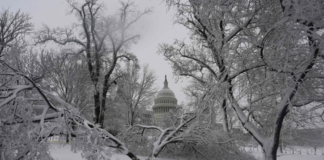 Tormenta de nieve en EE.UU.: apagón masivo, autos varados por 19 horas y miles de vuelos cancelados por una fuerte nevada en Washington y alrededores