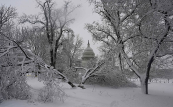 Tormenta de nieve en EE.UU.: apagón masivo, autos varados por 19 horas y miles de vuelos cancelados por una fuerte nevada en Washington y alrededores