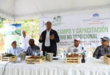 Agricultura promueve cultivo de especias y productos no tradicionales en el país