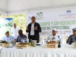Agricultura promueve cultivo de especias y productos no tradicionales en el país