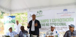 Agricultura promueve cultivo de especias y productos no tradicionales en el país