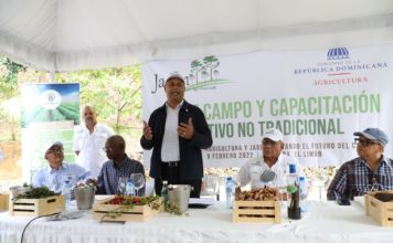 Agricultura promueve cultivo de especias y productos no tradicionales en el país