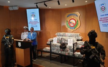 Ocupan otros 225 paquetes presumiblemente cocaína en Peravia
