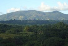 Medio Ambiente se querella contra empresario por daños en área protegida