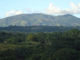 Medio Ambiente se querella contra empresario por daños en área protegida