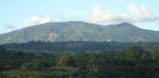 Medio Ambiente se querella contra empresario por daños en área protegida