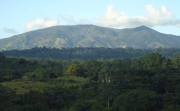 Medio Ambiente se querella contra empresario por daños en área protegida