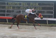 Fanático gana más de 400 mil en el PK5 del V Centenario; pool paga sobre los 186 mil pesos