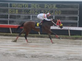 Fanático gana más de 400 mil en el PK5 del V Centenario; pool paga sobre los 186 mil pesos