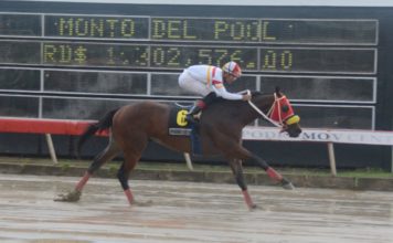 Fanático gana más de 400 mil en el PK5 del V Centenario; pool paga sobre los 186 mil pesos