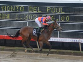 Poolpote sobre 4.6 millones para la cartelera de este martes en el V Centenario