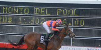 Poolpote sobre 4.6 millones para la cartelera de este martes en el V Centenario