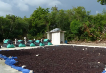 Universidad APEC, Fundación Grupo Punta Cana y empresa israelí Y.A. Maof, generan biogás a partir de la codigestión del sargazo y residuos de cocina
