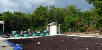 Universidad APEC, Fundación Grupo Punta Cana y empresa israelí Y.A. Maof, generan biogás a partir de la codigestión del sargazo y residuos de cocina