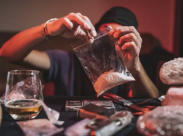 Carfentanilo, el medicamento para dormir elefantes que encontraron en la cocaína adulterada que mató a 24 personas en Argentina