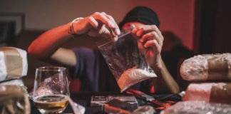 Carfentanilo, el medicamento para dormir elefantes que encontraron en la cocaína adulterada que mató a 24 personas en Argentina