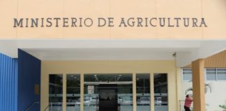 Ministerio de Agricultura afirma RD está dentro de plazo para cumplir con elegibilidad de préstamo exigida por el BID