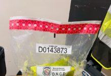 Arrestan en el AILA dominico-austriaco con 2 paquetes y una lámina presumiblemente cocaína