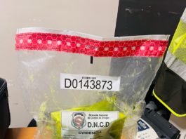 Arrestan en el AILA dominico-austriaco con 2 paquetes y una lámina presumiblemente cocaína