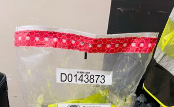 Arrestan en el AILA dominico-austriaco con 2 paquetes y una lámina presumiblemente cocaína