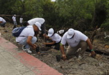 Servidores Públicos del IDECOOP realizan jornada de reforestación