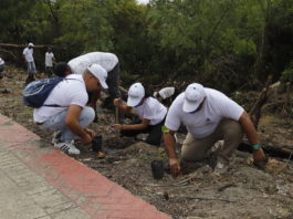 Servidores Públicos del IDECOOP realizan jornada de reforestación