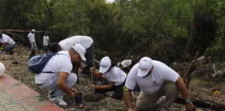 Servidores Públicos del IDECOOP realizan jornada de reforestación
