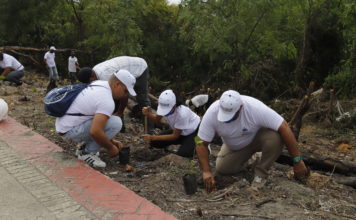 Servidores Públicos del IDECOOP realizan jornada de reforestación