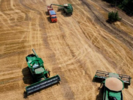 La guerra ha llevado al mundo al borde de una crisis alimentaria