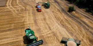 La guerra ha llevado al mundo al borde de una crisis alimentaria