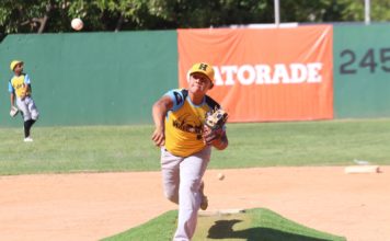 Arauza lleva a los Halcones a la Gran Final del Clásico de Pequeñas Ligas 2022