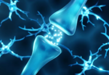 Dopamina, el neurotransmisor que nos da la felicidad, pero también nos la quita