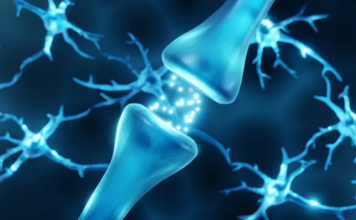 Dopamina, el neurotransmisor que nos da la felicidad, pero también nos la quita