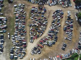 Afinan plan para limpiar el Canódromo