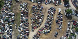 Afinan plan para limpiar el Canódromo