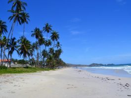 Temperaturas calurosas y cielo despejado para este lunes