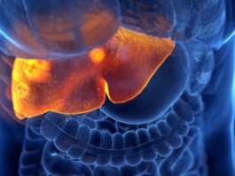 Detectan en Argentina el primer caso en América Latina de la hepatitis aguda de origen desconocido que ataca a los niños